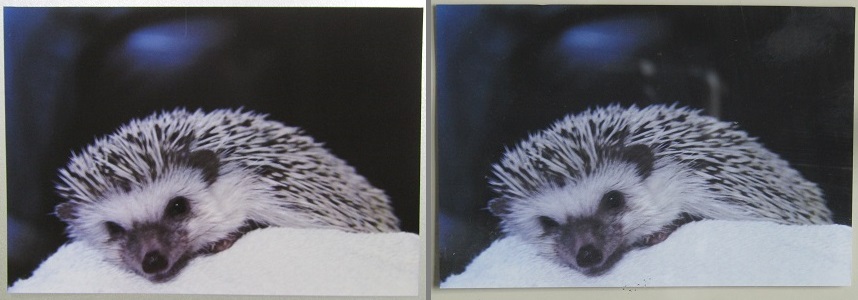 複層ガラスと同じく、見え方が透明ガラスと同じように見えますね。