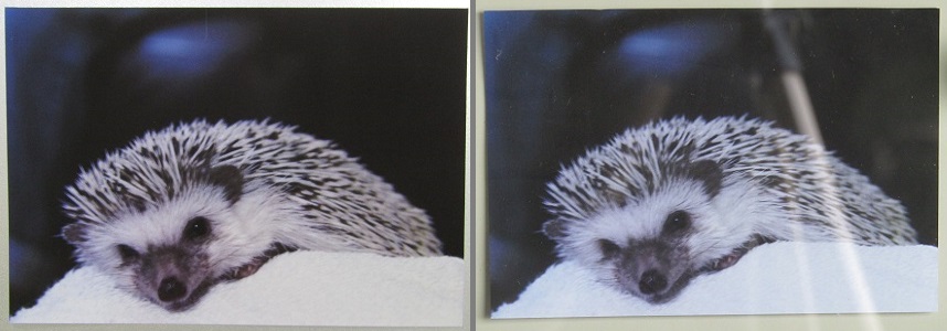 見え方が透明ガラスと同じ様に見えますよね。2枚の透明ガラスの間に空気の層がある複層ガラスですが、反対側ははっきりと見えます。