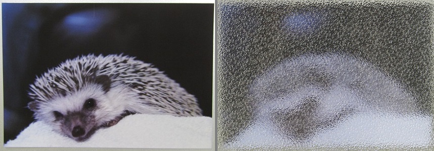 型板ガラスの梨地です。名前の由来は、果物の梨の皮に似ており、触り心地もザラザラしています。